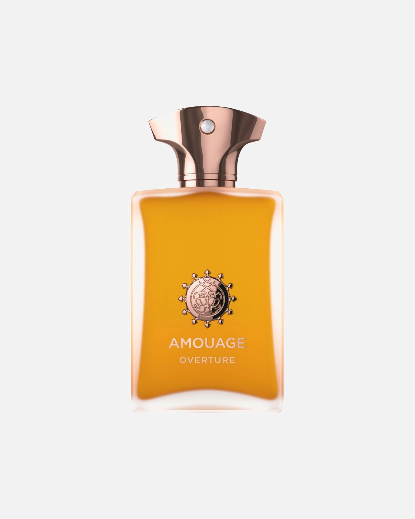 Eau de Parfum für Männlich Amouage Main Line Overture Man 100 ml