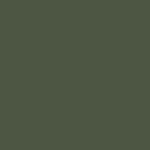 80 - BOTTLE GREEN
