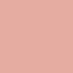 STRAWBERRY - Mini