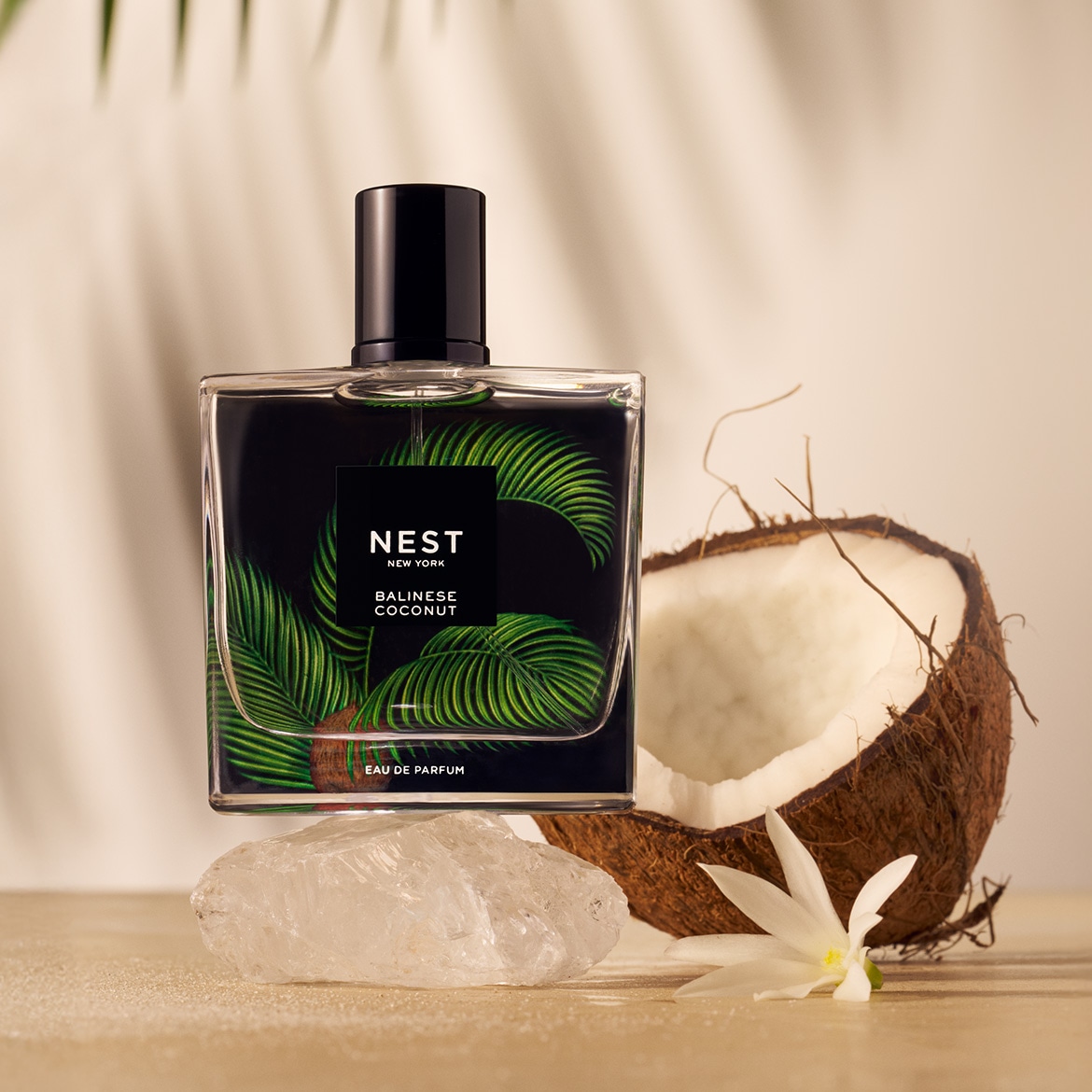 Das Nest New York Balinese Coconut Eau de Parfum präsentiert sich in einem klaren Glasflakon mit schwarzem Verschluss, verziert mit grünen Palmblättern, neben einer halben Kokosnuss und einer weißen Blüte.