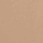 Warm Beige
