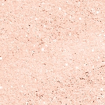 20 Sparkling Light Rose