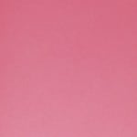14 - BARE RASPBERRY