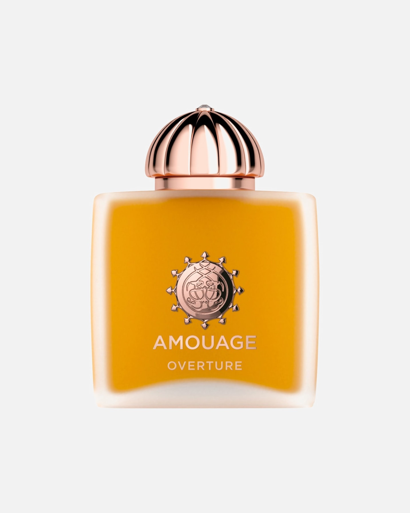 Eau de Parfum für Weiblich Amouage Main Line Overture Woman 100 ml