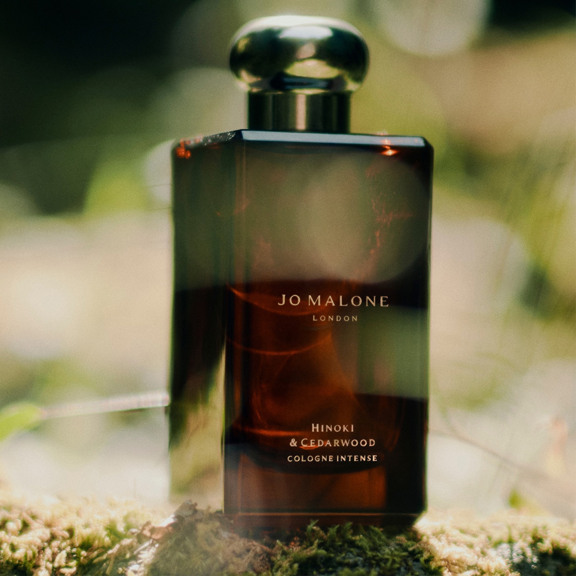 Jo Malone London Hinoki & Cedarwood Cologne Intense in einem bernsteinfarbenen Glasflakon mit silbernem Verschluss, der auf einem Moosbett steht.