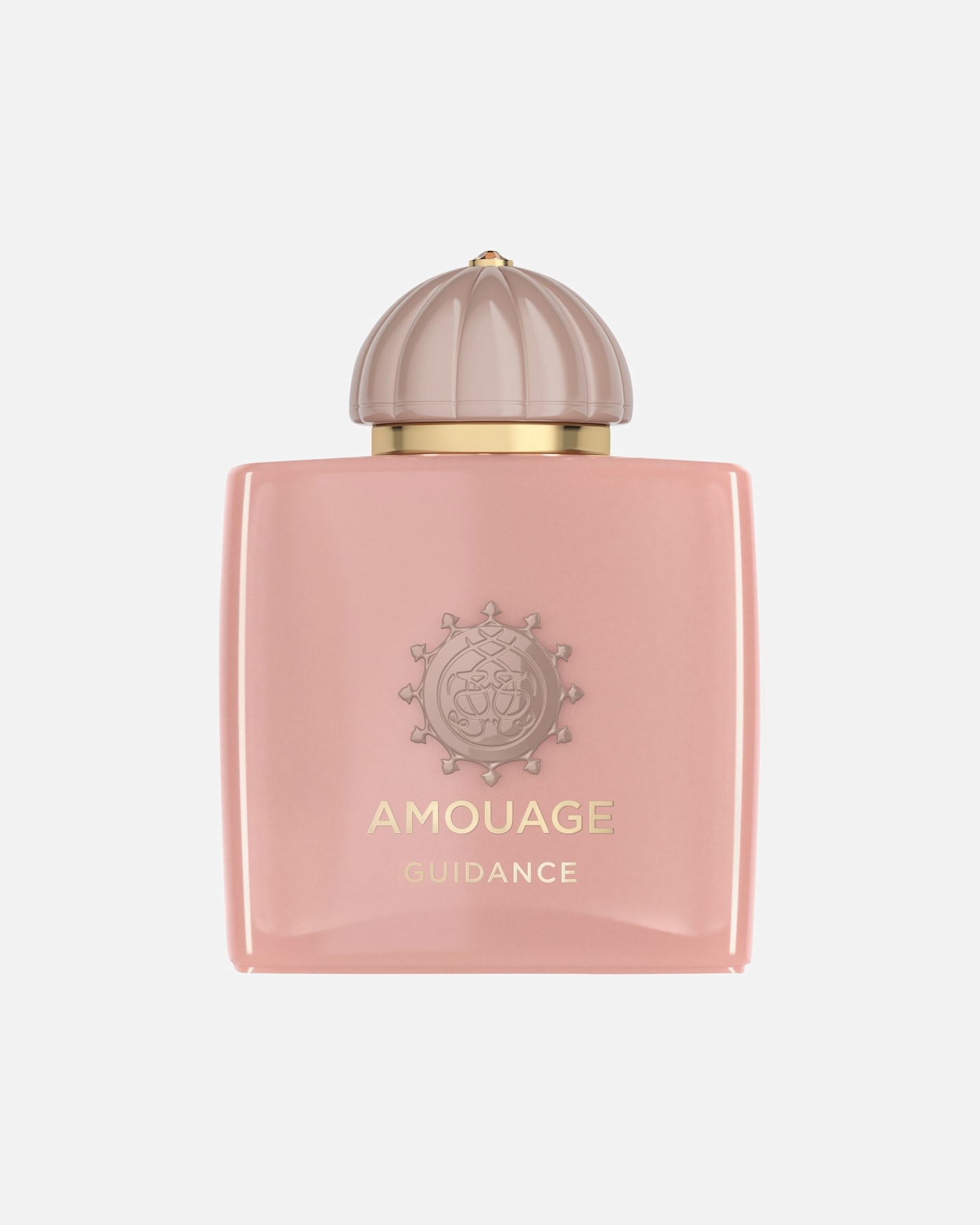 Eau de Parfum für Unisex Amouage The Odyssey Collection Guidance 100 ml