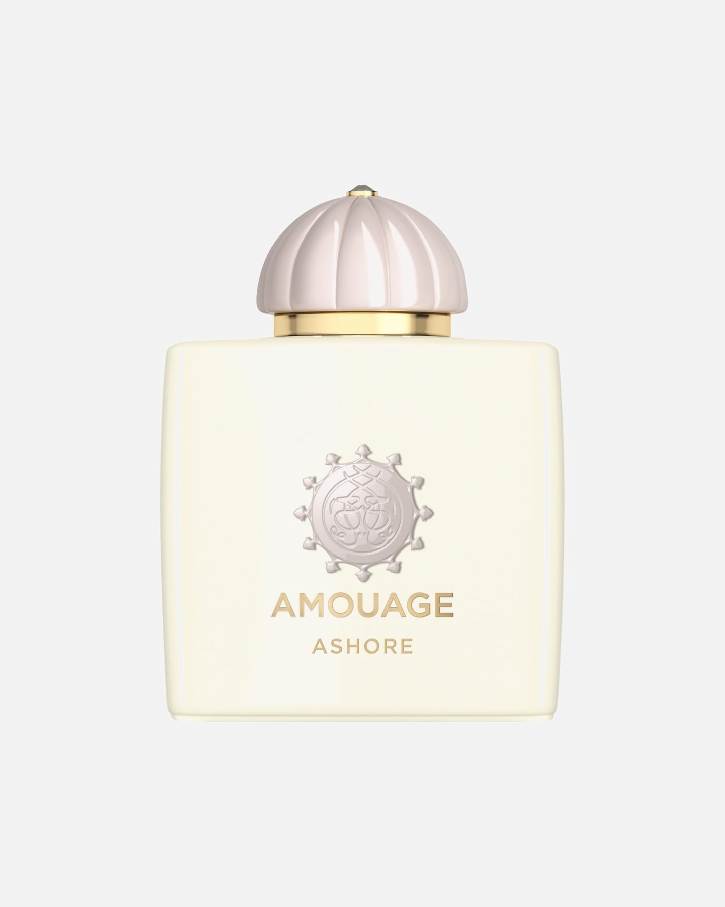 Eau de Parfum für Unisex Amouage The Odyssey Collection Ashore 100 ml