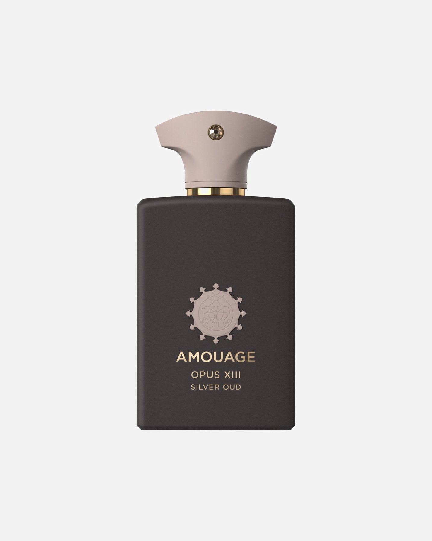 Eau de Parfum für Unisex Amouage Library Collection Opus XIII Silver Oud 100 ml