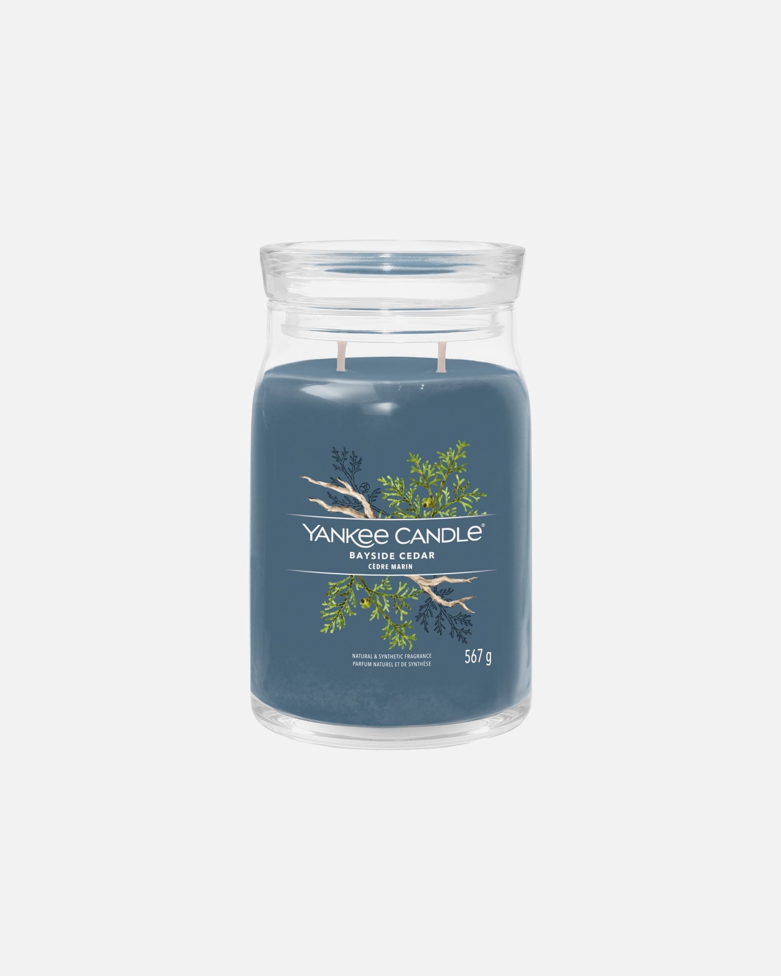 Kerze für Unisex YANKEE CANDLE Bayside Cedar 567 g - Signature