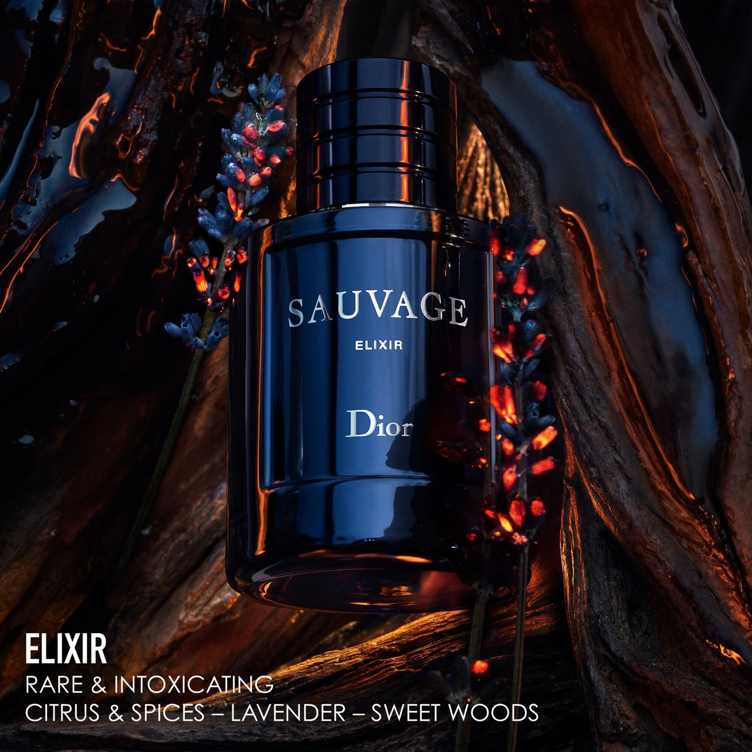 Elixir Sauvage Herren DIOR Sauvage Elixir Parfum ✔️ Online