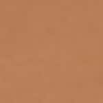 8WO - WARM OLIVE
