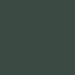 29 - RAIN FOREST