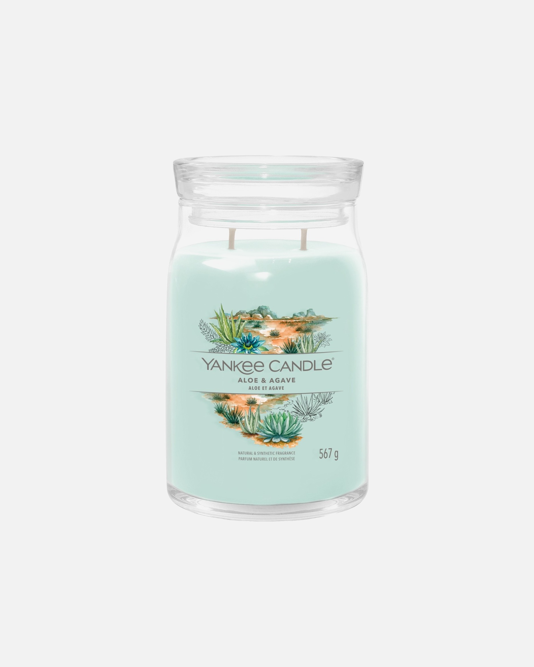 Kerze für Unisex YANKEE CANDLE Yankee Candle Signature Großes Glas Aloe & Agave 567 g