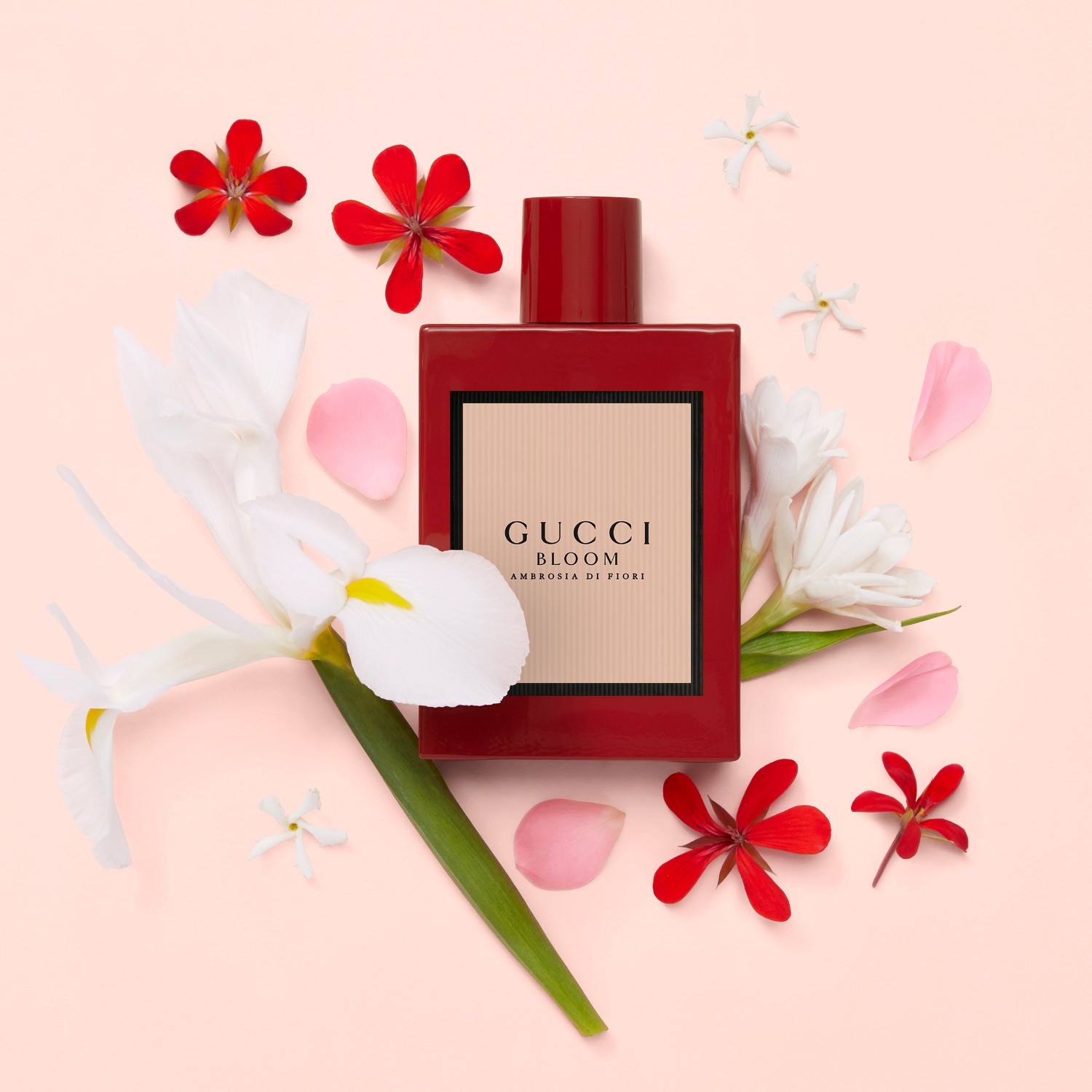 Red Gucci Parfüm Ii Gucci Guilty Absolu De Parfum Pour Femme