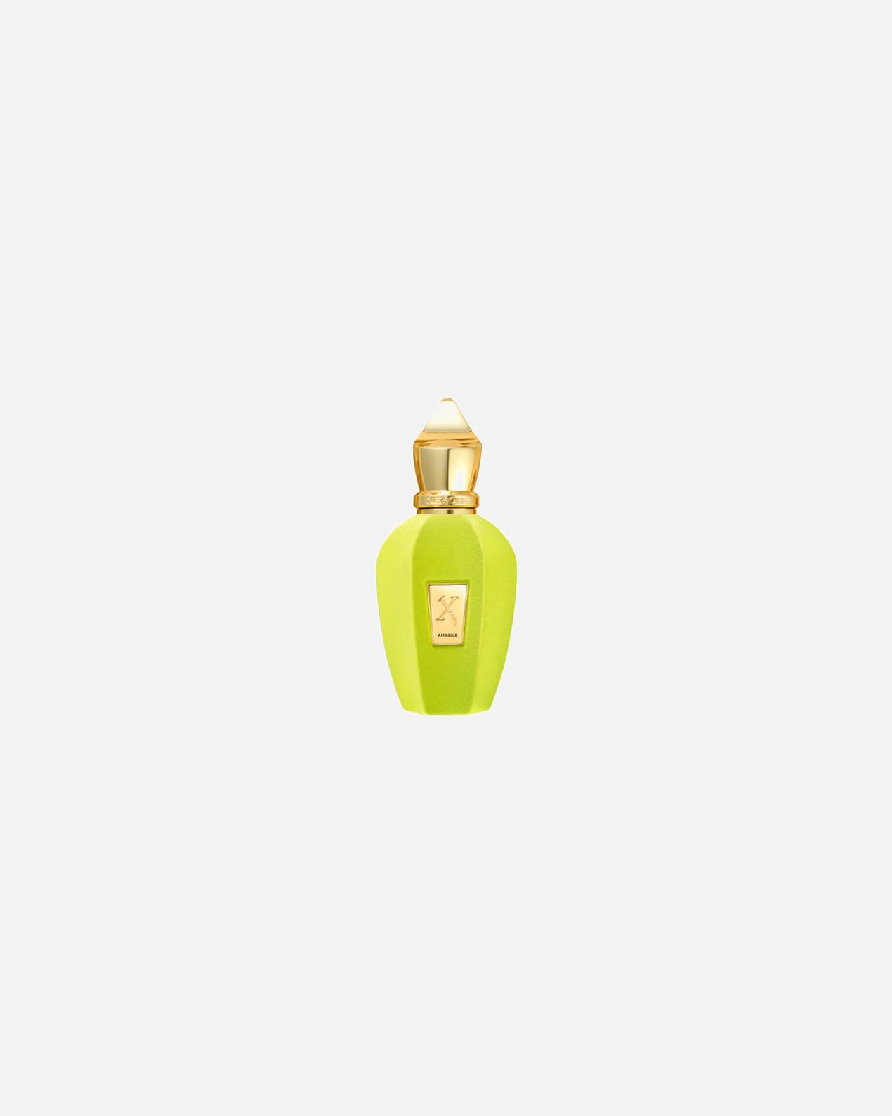 Eau de Parfum für Unisex XERJOFF Vibe Amabile 50 ml