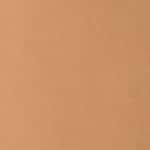 21 - MEDIUM TAN 21 WARM