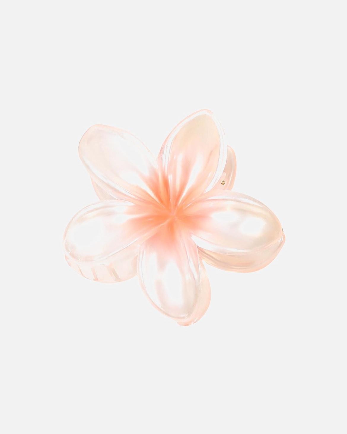 Haarklammer für Weiblich SOHO Leilani Haarklammer Orange