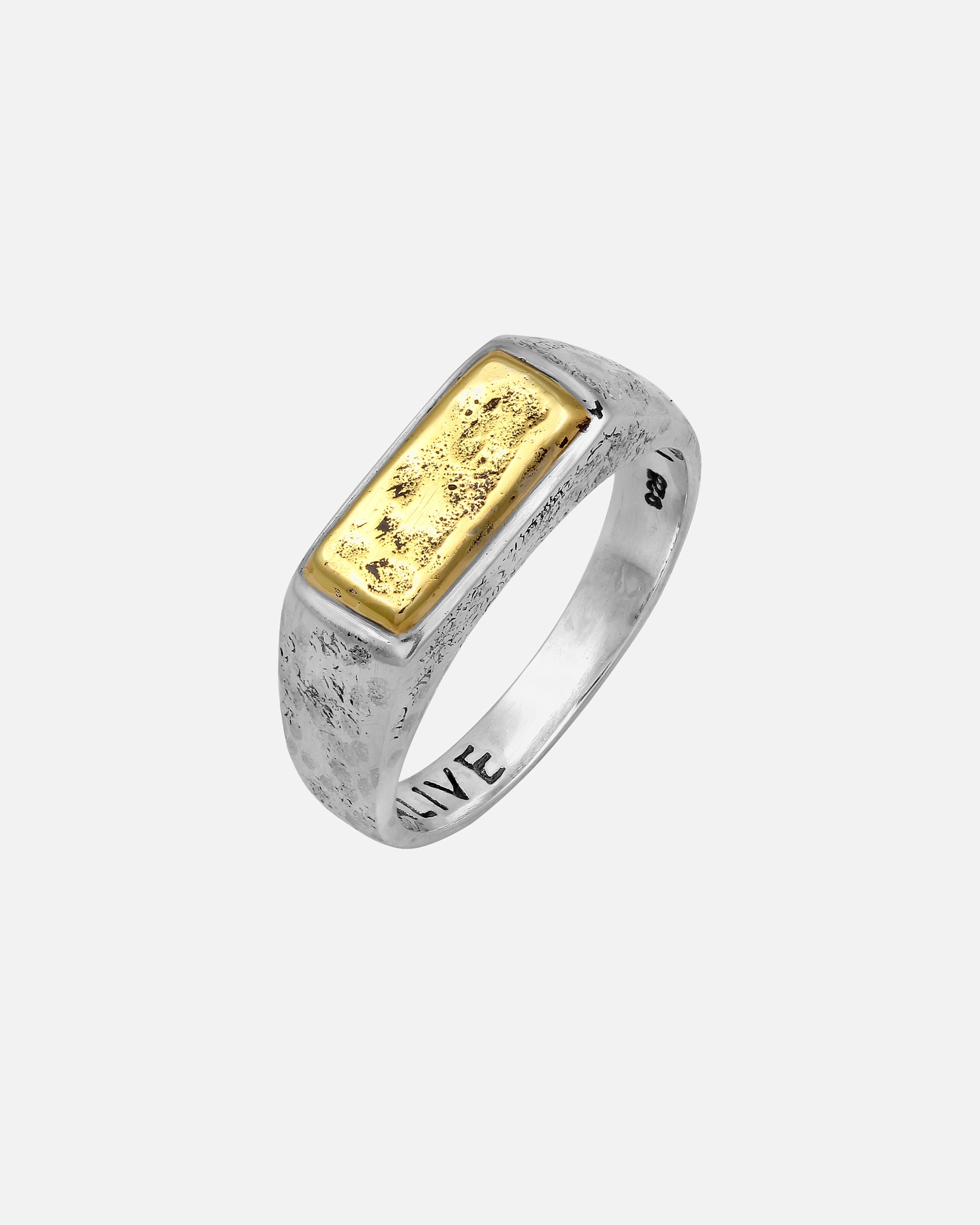 Ring für Männlich Haze & Glory Default Brand Line Siegelring - Alive Bi-Colour 925 Silber 62