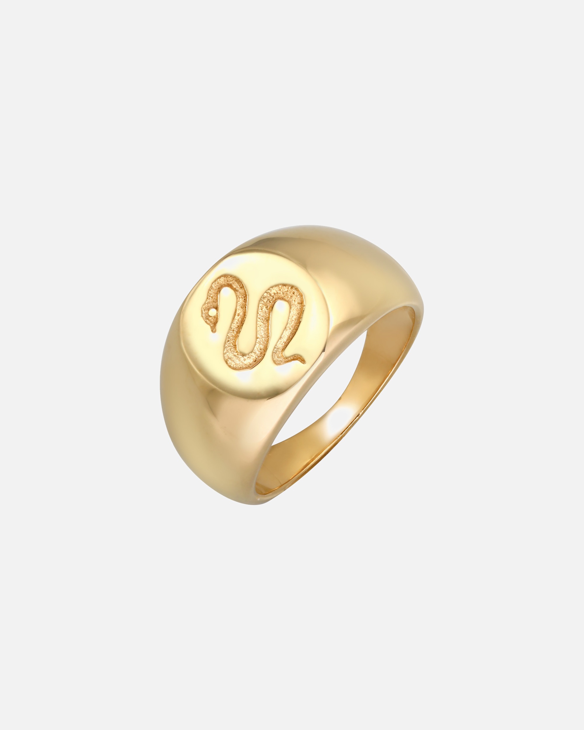 Ring für Weiblich Elli PREMIUM Siegelring Schlange Kraft Symbol 925 Silber 54