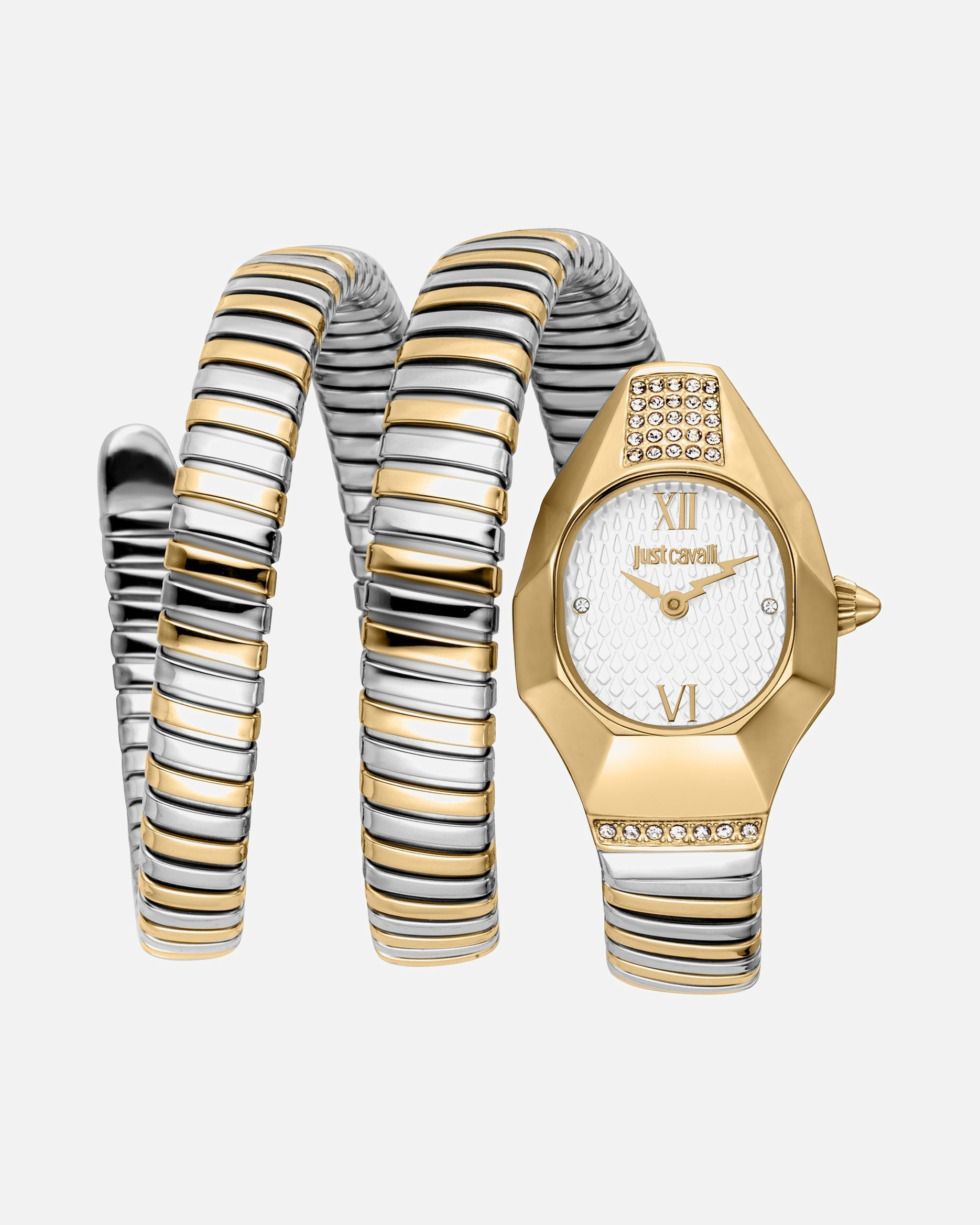 Uhr für Weiblich Roberto Cavalli Damenuhr Edelstahl bicolor