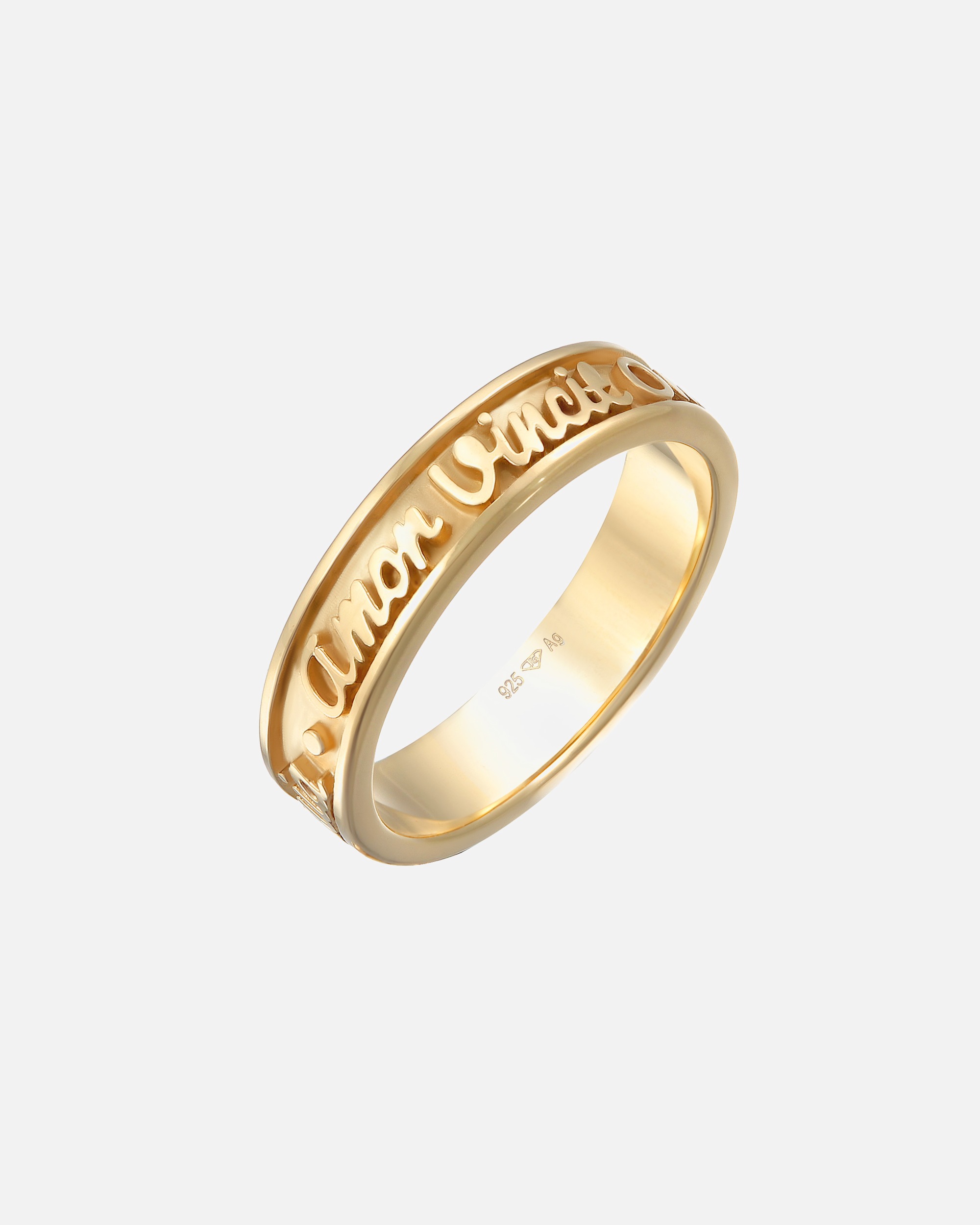 Ring für Weiblich Elli Bandring Worte Amor Vincit Omnia 925 Silber 56