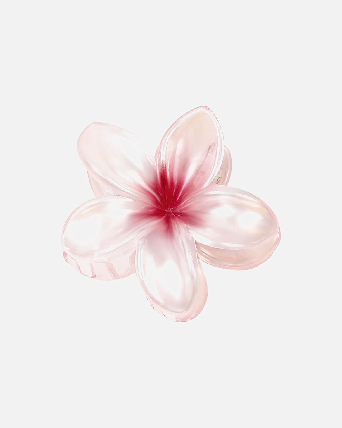 Haarklammer für Unisex SOHO Leilani Haarklammer Rot