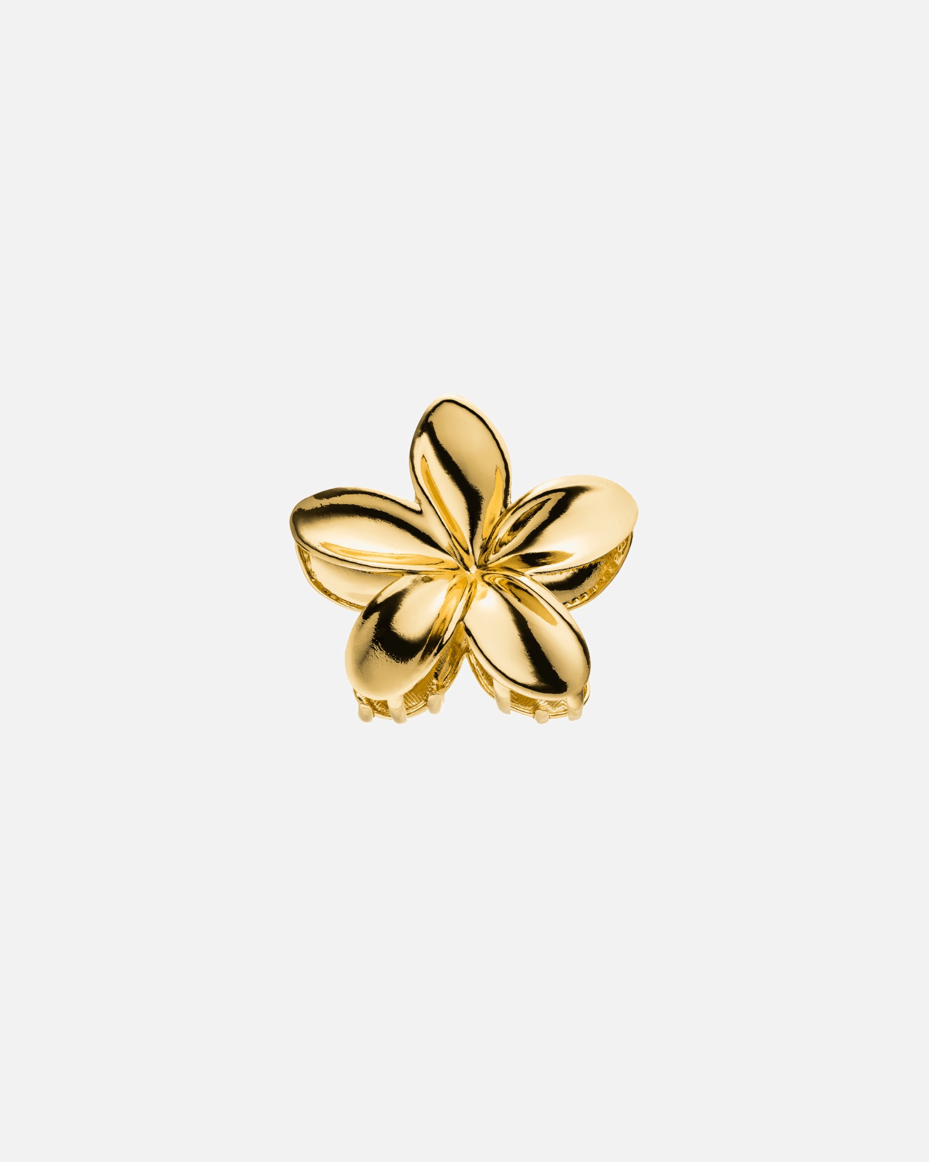 Schmuck für Unisex Purelei Flower Haarklammer 100% Edelstahl Gold