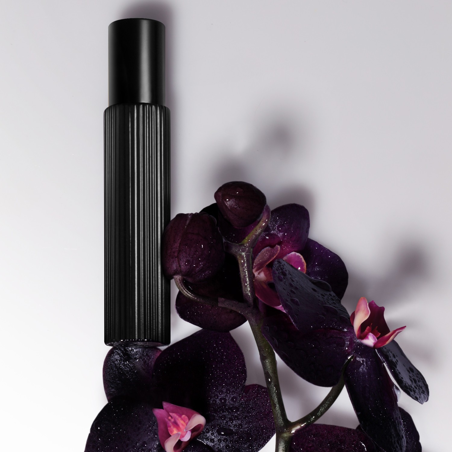 Perfume Tom Ford Black Orchid Herren Oder Damen Tom Ford Black