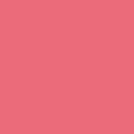 219 - STRAWBERRY MILKSHAKE