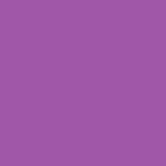 024 - GRAPE MINDS THINK ALIKE