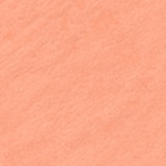 Nr. 211 - Kitten Baby