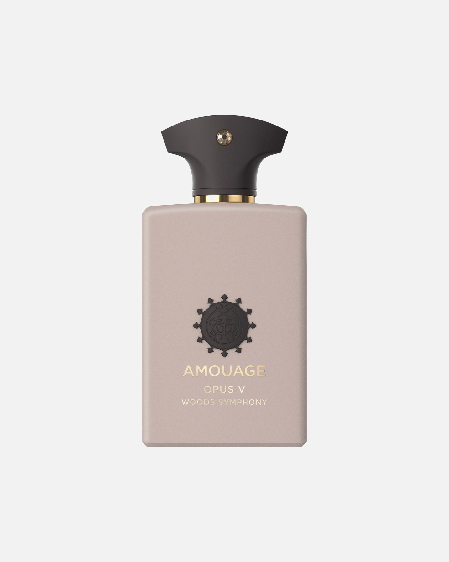 Eau de Parfum für Unisex Amouage Library Collection Opus V Woods Symphony 100 ml