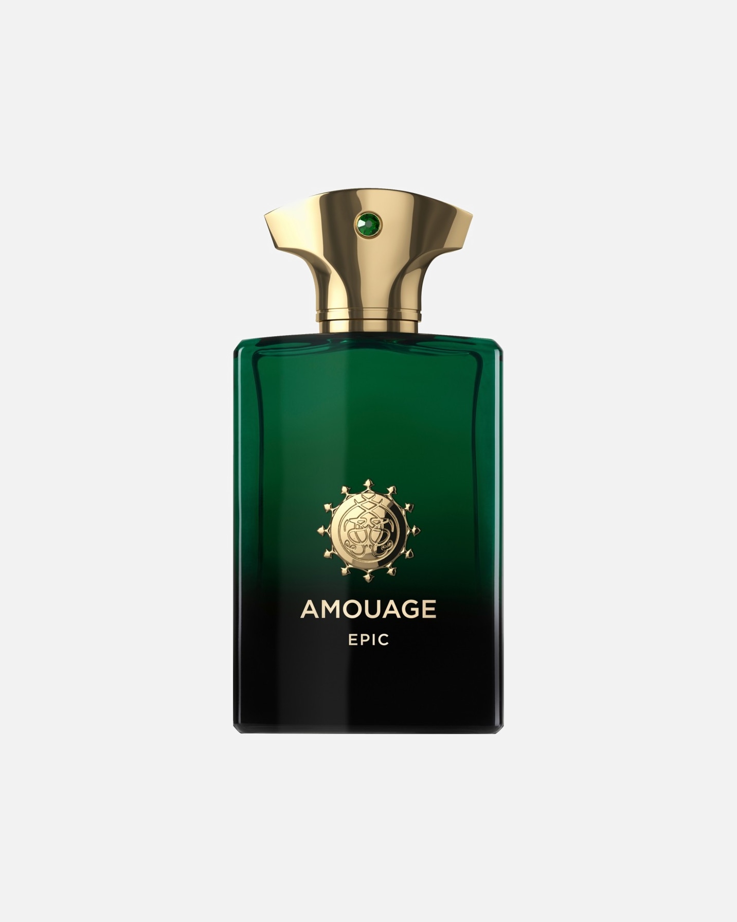 Eau de Parfum für Männlich Amouage Main Line Epic Man 100 ml
