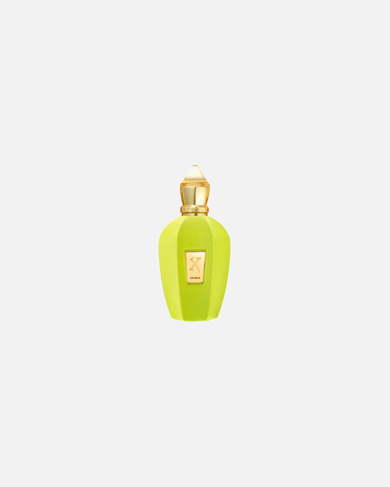 Eau de Parfum für Unisex XERJOFF Vibe Amabile 100 ml