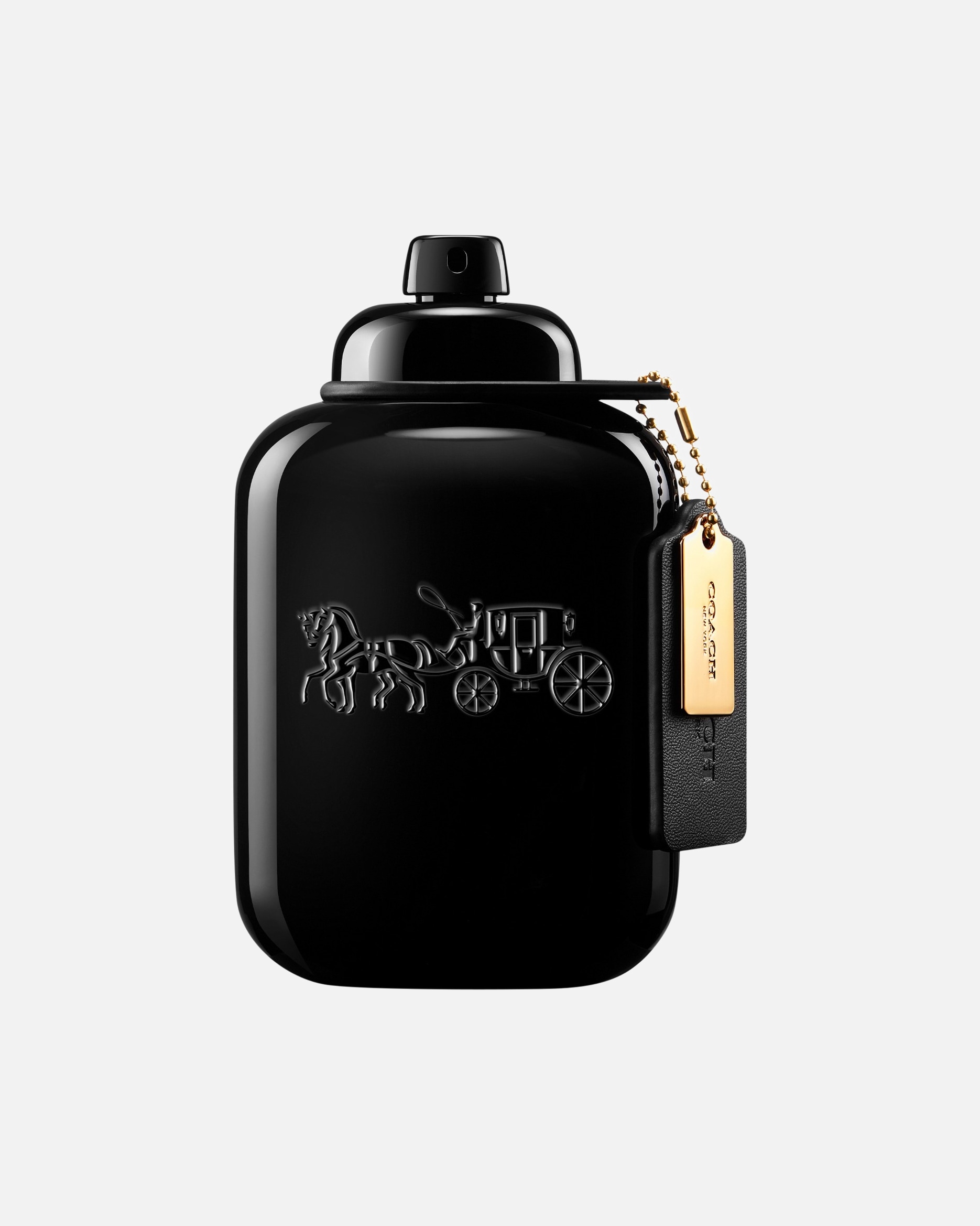 Eau de Parfum für Männlich COACH For Men For Men 100 ml