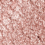 24 Metallic Desert Rose